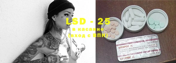 сатива Балахна