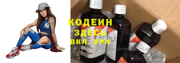сатива Балахна