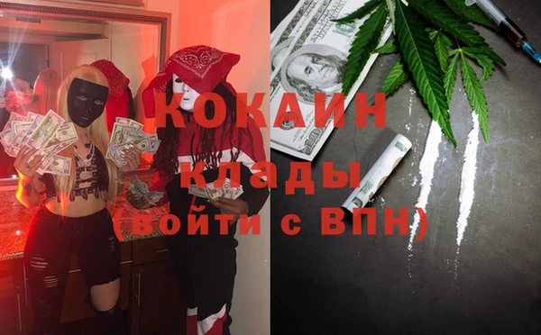 сатива Балахна