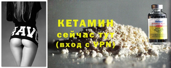 сатива Балахна