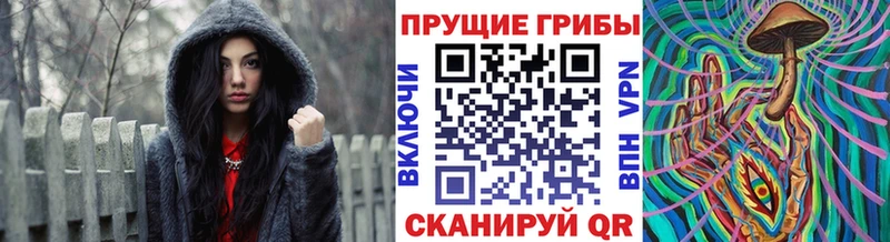 Псилоцибиновые грибы Magic Shrooms где купить наркоту Нерюнгри
