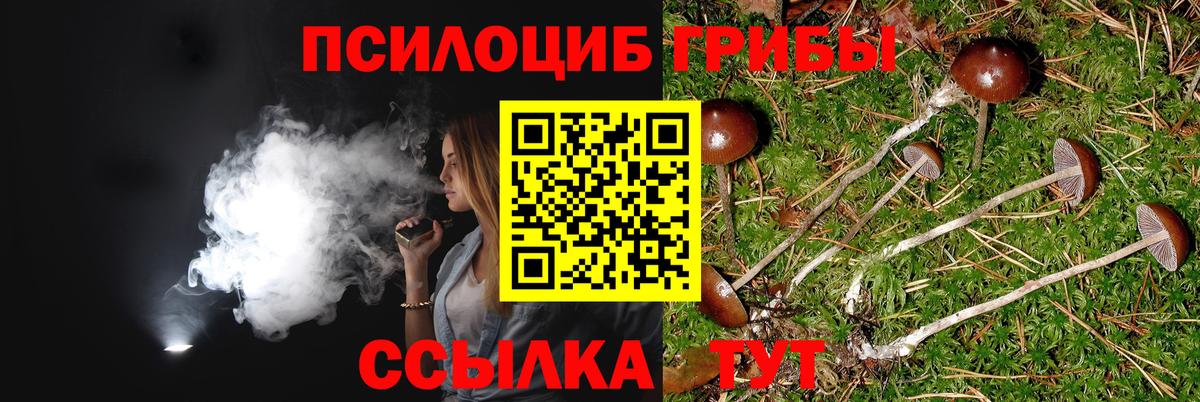 Нерюнгри  как найти наркотики  Вход с VPN  Псилоцибиновые грибы мухоморы 