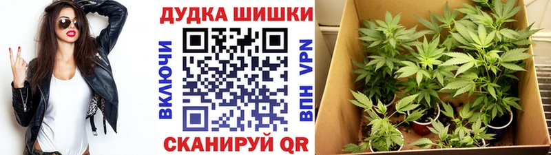 Бошки Шишки AK-47  наркотики  блэк спрут зеркало  маркетплейс наркотические препараты  Нерюнгри 